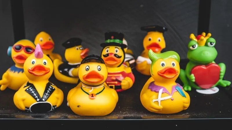 Enten.jpg Enten.jpg